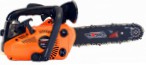 Forza 25-12, ﻿chainsaw  Photo, characteristics and Sizes, description and Control