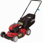 CRAFTSMAN 37031, lawn mower  Photo, characteristics and Sizes, description and Control