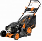Daewoo Power Products DLM 5000 SP, self-propelled lawn mower  Photo, characteristics and Sizes, description and Control