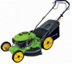 Fieldmann FZR 3003-B, lawn mower  Photo, characteristics and Sizes, description and Control