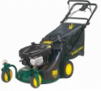 Yard-Man YM 6021 CB, self-propelled lawn mower  Photo, characteristics and Sizes, description and Control