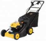 Yard-Man YM 6021 SMS, self-propelled lawn mower  Photo, characteristics and Sizes, description and Control