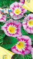 pink Garden Flowers Ground Morning Glory, Bush Morning Glory, Silverbush, Convolvulus Photo, cultivation and description, characteristics and growing