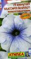 light blue Garden Flowers Petunia Photo, cultivation and description, characteristics and growing