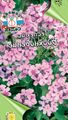lila Flores de jardín Dulce Cohete, Cohete De La Dama, Hesperis Foto, cultivo y descripción, características y cultivación