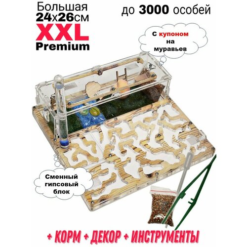 фотография Большая муравьиная ферма XXL Premium 24*26см Полный комплект Сосна, купить за 2990 руб онлайн