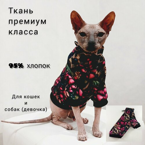 фотография Толстовка для кошек и собак мелких пород, купить за 930 руб онлайн