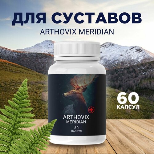 фотография Средство для здоровья суставов Arthovix Meridian, купить за 495 руб онлайн