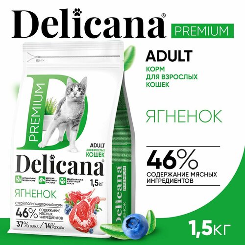 фотография DELICANA Корм сухой для кошек Ягненок 1,5 кг, купить за 993 руб онлайн