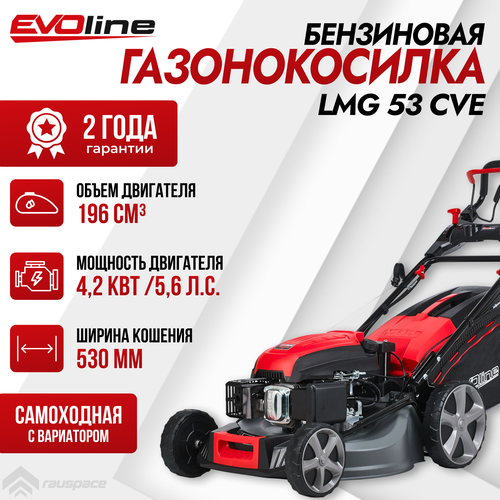 фотография Газонокосилка бензиновая EVOline LMG 53 CVE, купить за 53990 руб онлайн