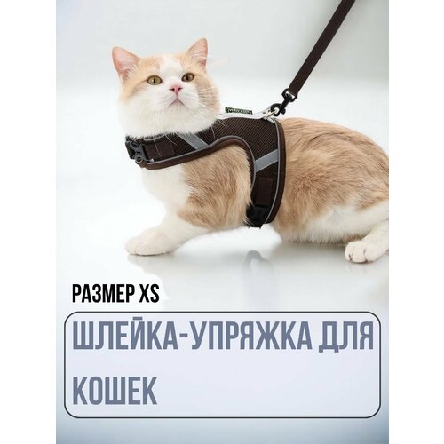 фотография Шлейка для кошек, черная XS, купить за 553 руб онлайн