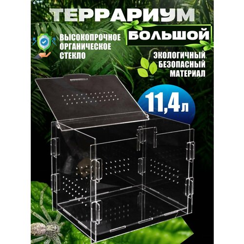 фотография Террариум Для Рептилий 28*22*20, купить за 2200 руб онлайн