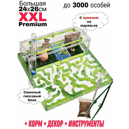 фотография Большая муравьиная ферма XXL Premium 24*26см Полный комплект Салат, купить за 2990 руб онлайн