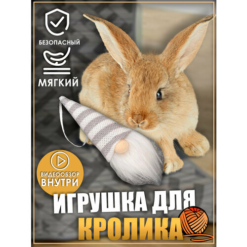 фотография Игрушка для кролика, гномики, игрушки для грызунов, игрушки для животных, купить за 627 руб онлайн