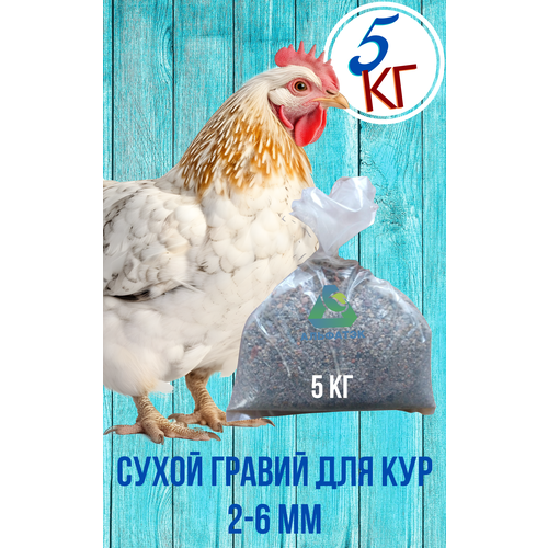 фотография Сухой гравий 2-6 мм для кур, мешок 5 кг, купить за 592 руб онлайн