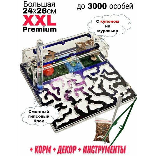 фотография Большая муравьиная ферма XXL Premium 24*26см Полный комплект Космос, купить за 2990 руб онлайн