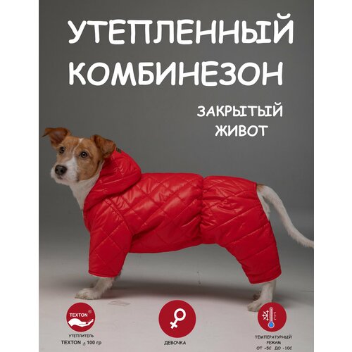 фотография Комбинезон для собак DOGMODA стеганный девочка спина 37 см, купить за 1800 руб онлайн