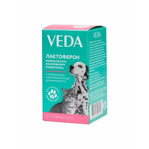 фотография Таблетки VEDA Лактоферон таблетки, 4 г, 20шт. в уп., 1уп., купить за 170 руб онлайн