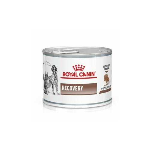 фотография Royal Canin Recovery (мусс) 6шт х 195г, купить за 1890 руб онлайн