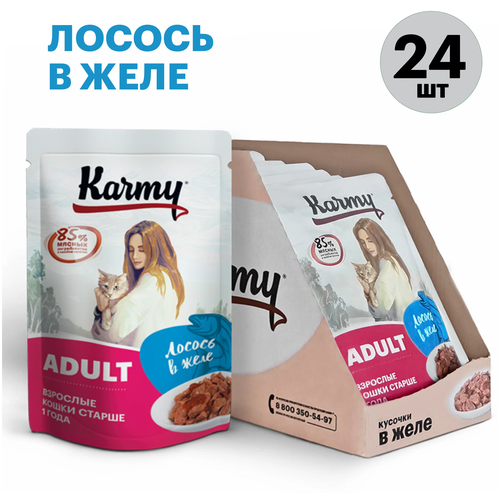 фотография Adult Лосось в желе, купить за 1512 руб онлайн