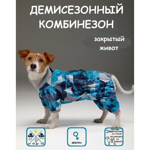 фотография Комбинезон для собак DOGMODA Классик девочка мята размер 4, купить за 1700 руб онлайн