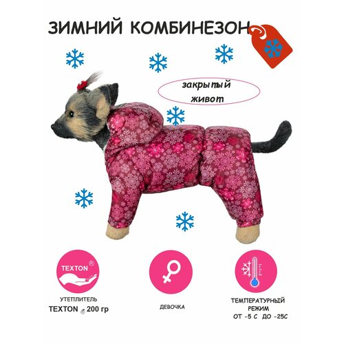 фотография Зимний комбинезон для собак DOGMODA Снежинка девочка размер 5, купить за 2000 руб онлайн